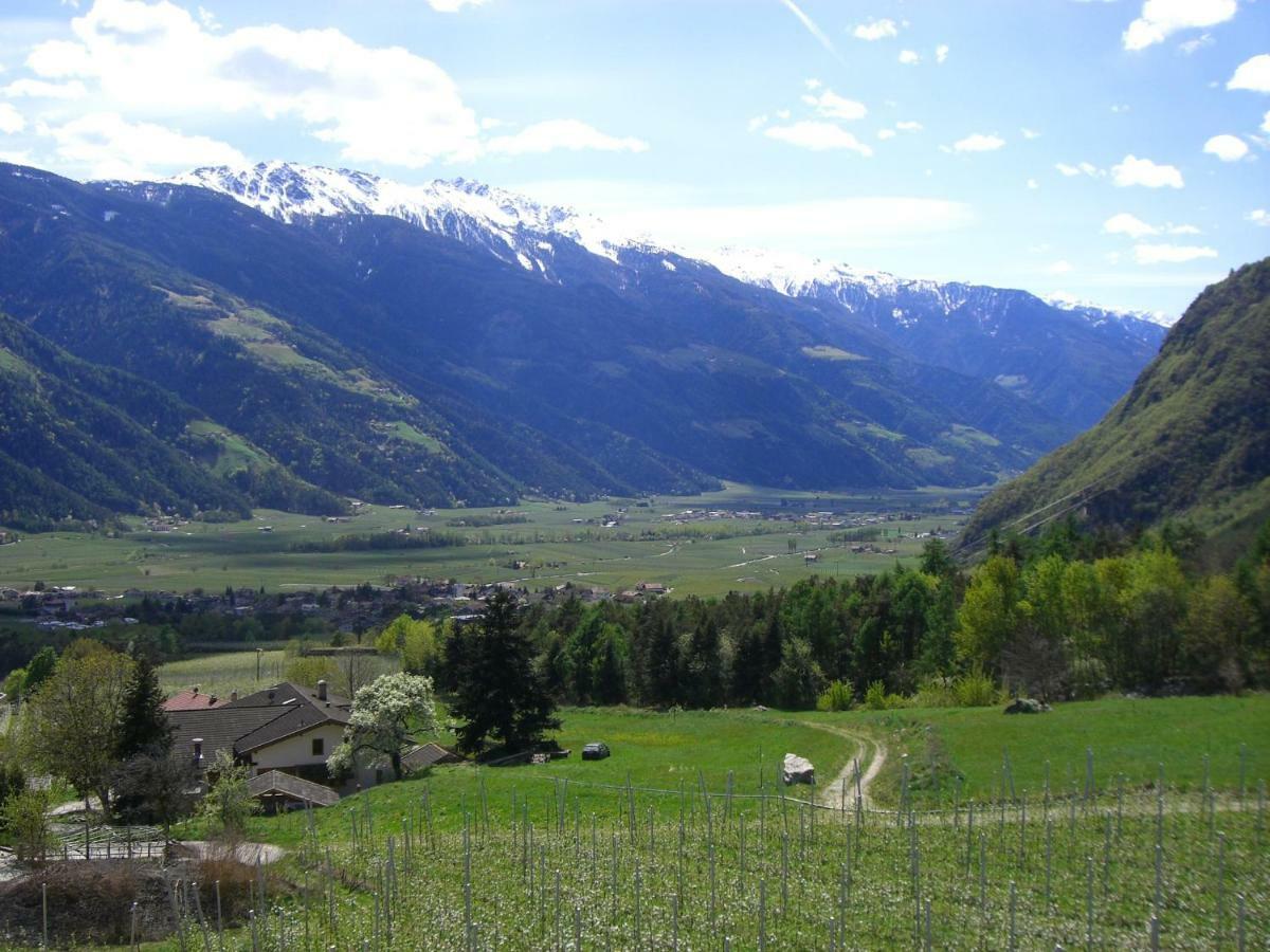 Апартаменты Mareinhof - Urlaub Auf Dem Apfelbauernhof Парчинес Экстерьер фото